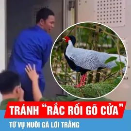 Nuôi động vật hoang dã: Làm gì để tránh “rắc rối gõ cửa”?