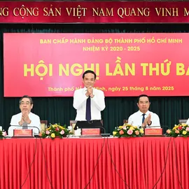 Podcast tin trưa 25-8: Đồng chí Trần Lưu Quang giữ chức Bí thư Thành ủy TPHCM; Trước giờ bão số 5 đổ bộ, "cháy hàng" đèn tích điện, bao nilon đựng nước