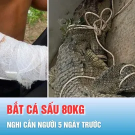 Podcast bản tin tối 13-10: Bắt được cá sấu khủng, nghi cắn người 5 ngày trước