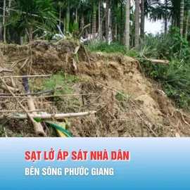 Podcast bản tin 17 giờ 3-12: Sạt lở áp sát nhà dân bên sông Phước Giang