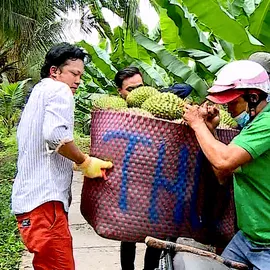 Podcast bản tin tối 17-5: Khó xuất khẩu, nông dân ĐBSCL ồ ạt chở sầu riêng ra đường bán rẻ, cắt lỗ; Hỏa hoạn thiêu rụi xưởng gỗ lớn ở Lâm Đồng