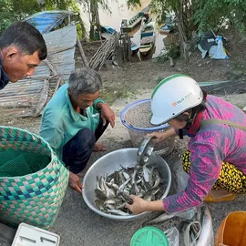 Podcast bản tin tối 16-8: Nông dân miền Tây đón lộc vàng mùa nước nổi