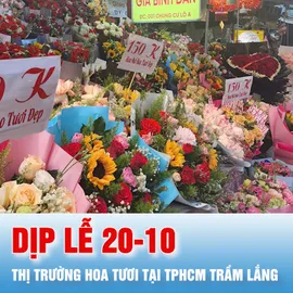 Podcast tin tối 19-10: Thị trường hoa tươi tại TPHCM trầm lắng dịp lễ 20-10