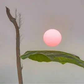 Podcast: Những đêm trăng lẻ