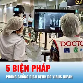 Podcast bản tin 17 giờ 27-1: 5 biện pháp phòng chống dịch bệnh do virus Nipah