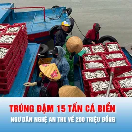 Podcast bản tin chiều 25-2: Ngư dân Nghệ An trúng đậm 15 tấn cá biển, thu về 200 triệu đồng
