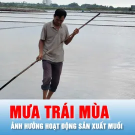 Podcast bản tin tối 27-2: Mưa trái mùa ảnh hưởng hoạt động sản xuất muối