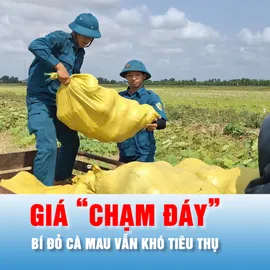 Podcast bản tin tối 18-3: Giá bí đỏ Cà Mau "chạm đáy", thương lái vẫn không đến mua