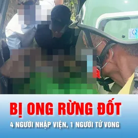 Podcast bản tin tối 15-4: Năm nhân viên bảo vệ rừng ở Gia Lai bị ong đốt, 1 người tử vong