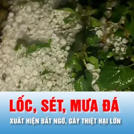 Podcast bản tin trưa 17-4: Hướng dẫn ứng phó với lốc, sét, mưa đá 