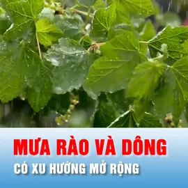 Podcast bản tin tối 23-4: Bắc bộ tiếp tục có mưa rào và dông rải rác