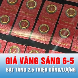 Podcast bản tin trưa 6-5: Sáng 6-5, giá vàng bật tăng 2,5 triệu đồng/lượng