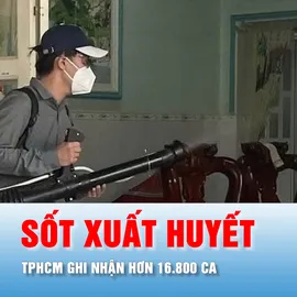 Podcast bản tin trưa 21-5: Đầu năm đến nay, TPHCM ghi nhận hơn 16.800 ca sốt xuất huyết