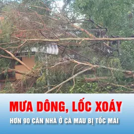 Podcast bản tin trưa 25-5: Hơn 90 căn nhà ở Cà Mau bị ảnh hưởng do lốc xoáy
