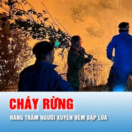 Podcast bản tin trưa 22-6: Hàng trăm người xuyên đêm khống chế cháy rừng ở Nghệ An
