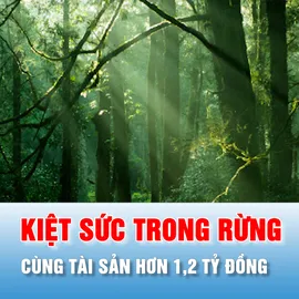 Podcast bản tin thời sự 3-7: Phát hiện người đàn ông kiệt sức trong rừng cùng tài sản hơn 1,2 tỷ đồng