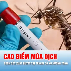 Podcast tin thời sự ngày 10-8: Đầu năm 2026 đến nay, TPHCM ghi nhận hơn 24.600 ca sốt xuất huyết