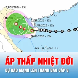 Podcast bản tin tối 20-8: Dự báo áp thấp nhiệt đới vào Vịnh Bắc bộ và mạnh lên thành bão