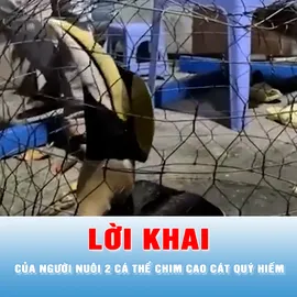 Podcast bản tin 17 giờ 5-1: Người nuôi chim Cao Cát quý hiếm khai gì?