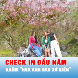 Podcast tin tối 11-1: Du khách nườm nượp về phía Đông TPHCM ngắm “hoa anh đào”