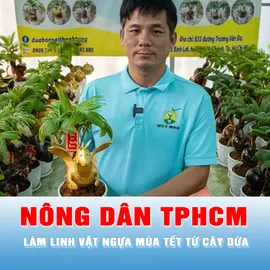 Podcast bản tin tối 20-1: Nông dân TPHCM làm linh vật ngựa mùa Tết từ cây dừa
