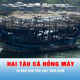Podcast tin chiều 9-3: Hai tàu cá Quảng Ngãi hỏng máy cùng 70 ngư dân trôi dạt trên biển