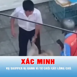 Podcast bản tin trưa 11-5: Xác minh vụ shipper bị đánh vì từ chối cắt lông chó
