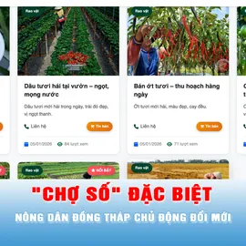 Podcast tin trưa 29-5: "Chợ số" đặc biệt giúp nông dân Đồng Tháp kết nối trực tiếp với khách hành