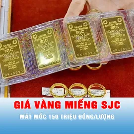 Podcast tin trưa 8-6: Giá vàng miếng SJC mất mốc 150 triệu đồng/lượng