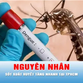 Podcast bản tin thời sự ngày 10-9: Nguyên nhân số ca mắc sốt xuất huyết tăng nhanh tại TPHCM