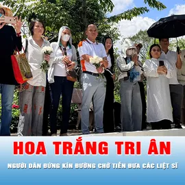 Podcast tin thời sự ngày 14-10: Hoa trắng tri ân 731 liệt sĩ