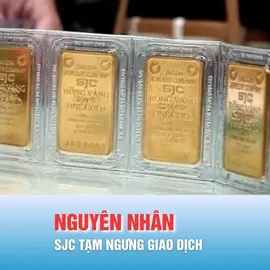 Podcast bản tin trưa 31-1: Vì sao SJC tạm ngưng giao dịch vàng miếng và vàng nhẫn tại TPHCM?