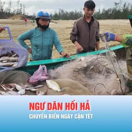 Podcast bản tin trưa 14-2: Ngư dân hối hả chuyến biển ngày cận tết