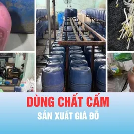 Podcast bản tin chiều 1-6: TPHCM: Khởi tố 4 bị can dùng chất cấm để sản xuất giá đỗ