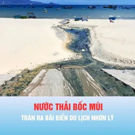 Podcast bản tin thời sự ngày 10-7: Khắc phục tình trạng nước thải tràn ra bãi biển du lịch Nhơn Lý