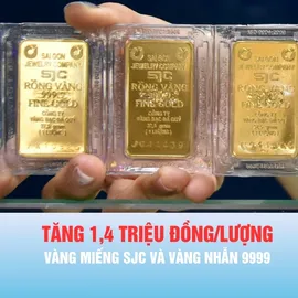 Podcast bản tin trưa 30-7: Vàng miếng SJC và vàng nhẫn 9999 cùng tăng 1,4 triệu đồng/lượng 