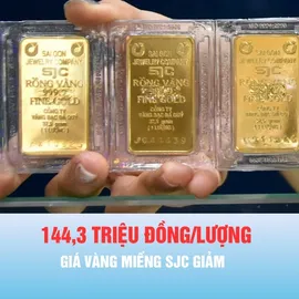 Podcast bản tin thời sự ngày 12-10: Giá vàng miếng SJC giảm còn 144,3 triệu đồng/lượng