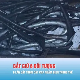 Podcast bản tin tối 25-1: Bắt nhóm đối tượng 6 lần cắt trộm dây cáp ngầm điện trung thế