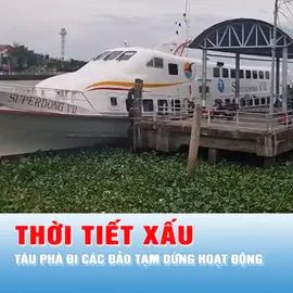 Podcast bản tin trưa 25-8: An Giang - Tàu phà đi các đảo tạm dừng hoạt động do thời tiết xấu
