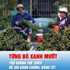 Podcast bản tin tối 11-2: Phiên chợ đặc biệt chỉ họp duy nhất một lần trong năm