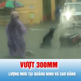 Podcast tin tối 17-5: Lượng mưa tại Quảng Ninh, Cao Bằng vượt 300mm, lớn nhất cả nước