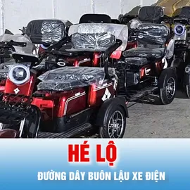 Podcast bản tin trưa 23-5: Hé lộ đường dây buôn lậu xe điện Trung Quốc về Việt Nam