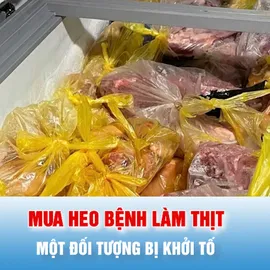 Podcast bản tin tối 28-5: Khởi tố đối tượng thu mua heo bệnh làm thịt đưa ra thị trường