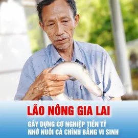 Podcast bản tin tối 7-6: Lão nông Gia Lai gầy dựng cơ nghiệp tiền tỷ nhờ nuôi cá chình bằng vi sinh