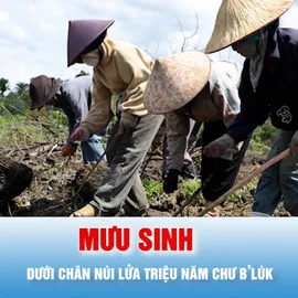 Podcast bản tin tối 20-6: Mưu sinh dưới chân núi lửa triệu năm Chư B’lúk