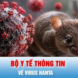 Podcast bản tin tối 3-7: Bộ Y tế thông tin mới nhất về virus Hanta 