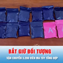 Podcast bản tin trưa 20-7: Bắt giữ đối tượng vận chuyển 3.200 viên ma túy tổng hợp