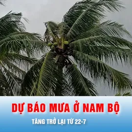 Podcast bản tin trưa 21-7: Dự báo mưa ở Nam bộ tăng trở lại từ 22-7