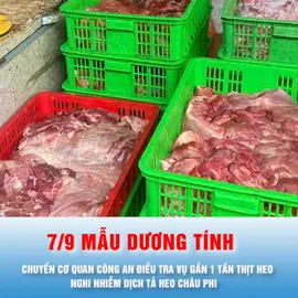 Podcast bản tin trưa 3-8: Chuyển cơ quan công an điều tra vụ gần 1 tấn thịt heo nghi nhiễm dịch tả heo châu Phi 