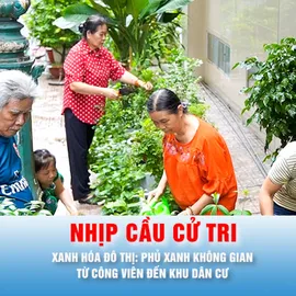 Nhịp cầu cử tri: XANH HÓA ĐÔ THỊPhủ xanh không gian từ công viên đến khu dân cư
